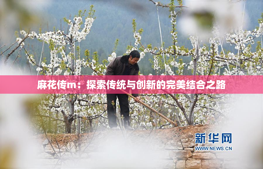 麻花传m：探索传统与创新的完美结合之路