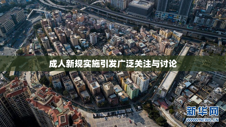 成人新规实施引发广泛关注与讨论