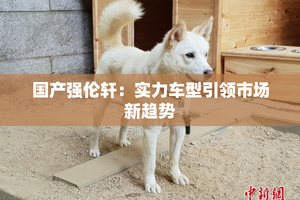 国产强伦轩：实力车型引领市场新趋势