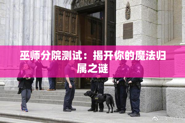 巫师分院测试：揭开你的魔法归属之谜