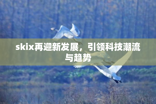 skix再迎新发展，引领科技潮流与趋势
