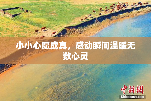 小小心愿成真，感动瞬间温暖无数心灵