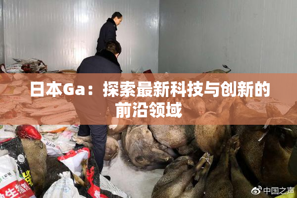 日本Ga：探索最新科技与创新的前沿领域