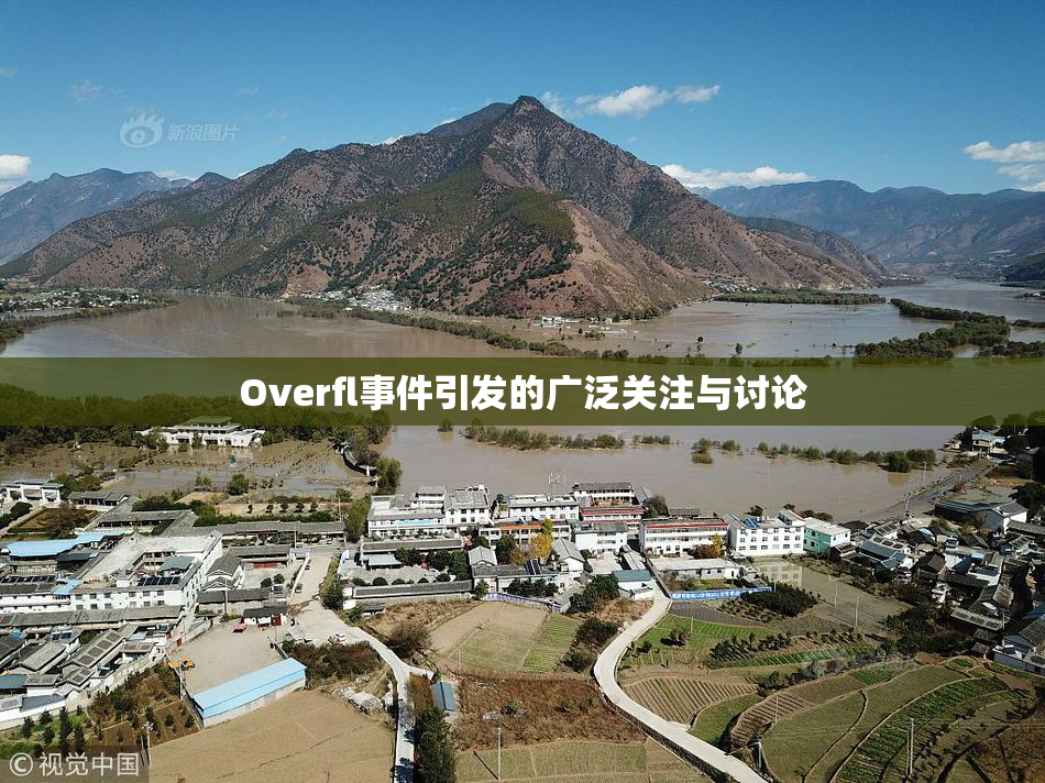 Overfl事件引发的广泛关注与讨论