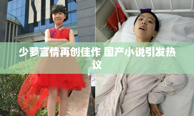 少萝言情再创佳作 国产小说引发热议