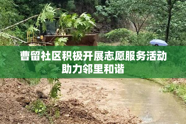 曹留社区积极开展志愿服务活动助力邻里和谐