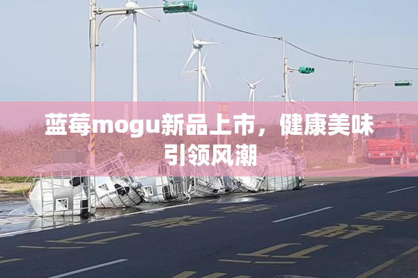 蓝莓mogu新品上市，健康美味引领风潮