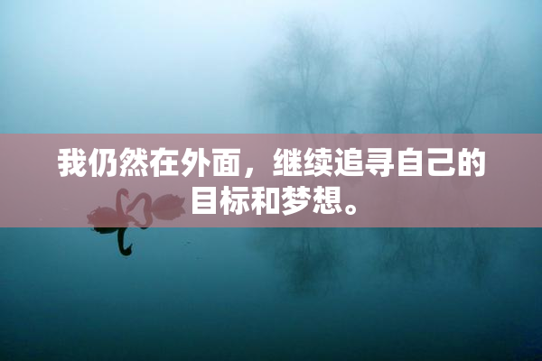我仍然在外面，继续追寻自己的目标和梦想。