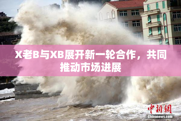 X老B与XB展开新一轮合作，共同推动市场进展