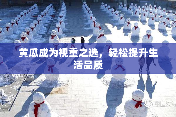 黄瓜成为视重之选，轻松提升生活品质