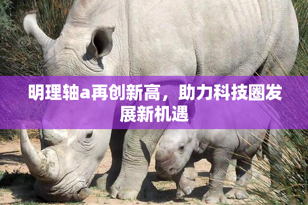 明理轴a再创新高，助力科技圈发展新机遇