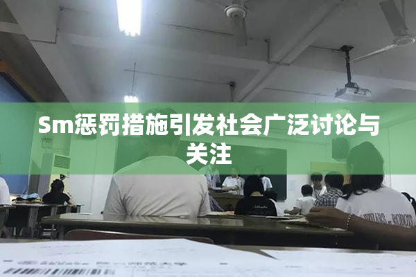 Sm惩罚措施引发社会广泛讨论与关注