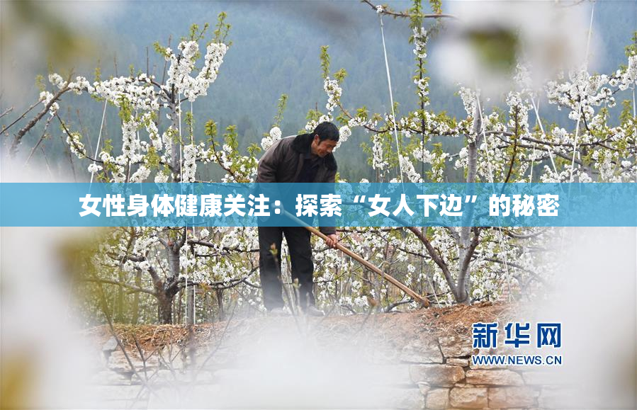 女性身体健康关注：探索“女人下边”的秘密