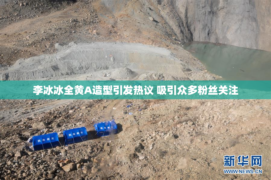李冰冰全黄A造型引发热议 吸引众多粉丝关注