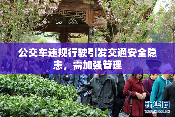 公交车违规行驶引发交通安全隐患，需加强管理