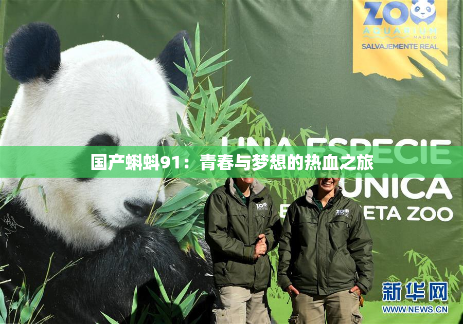 国产蝌蚪91：青春与梦想的热血之旅