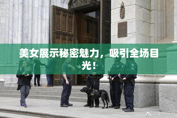 美女展示秘密魅力，吸引全场目光！