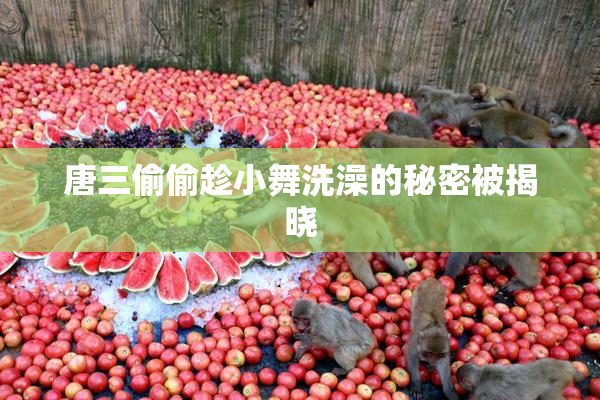 唐三偷偷趁小舞洗澡的秘密被揭晓