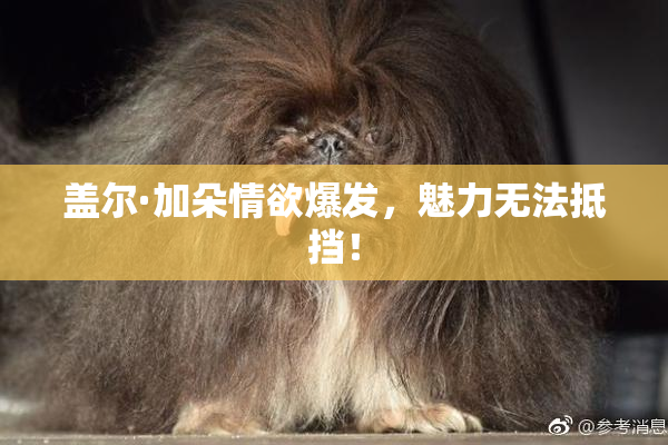 盖尔·加朵情欲爆发，魅力无法抵挡！