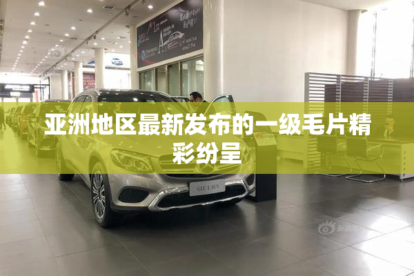 亚洲地区最新发布的一级毛片精彩纷呈