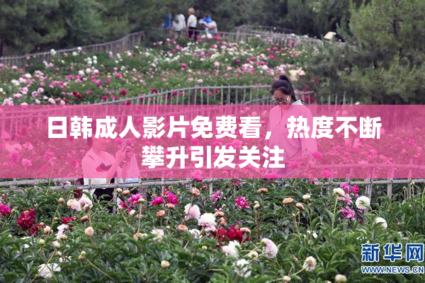 日韩成人影片免费看，热度不断攀升引发关注