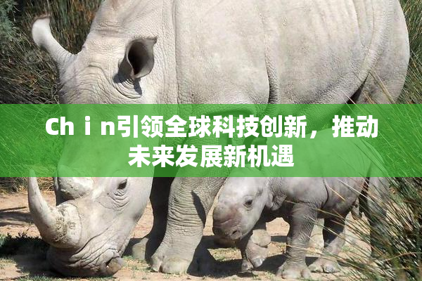 Chⅰn引领全球科技创新，推动未来发展新机遇