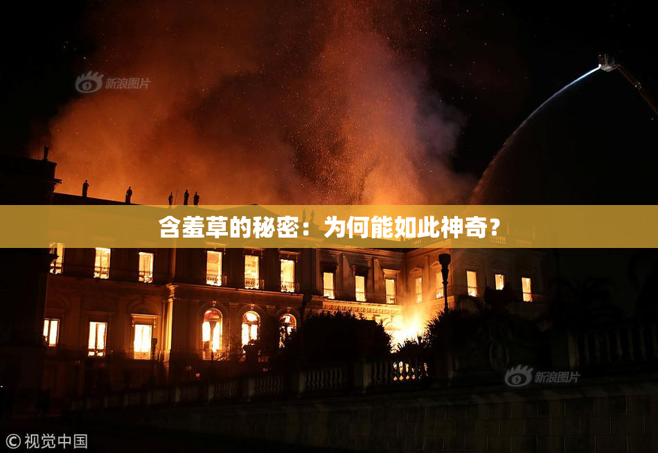 含羞草的秘密：为何能如此神奇？