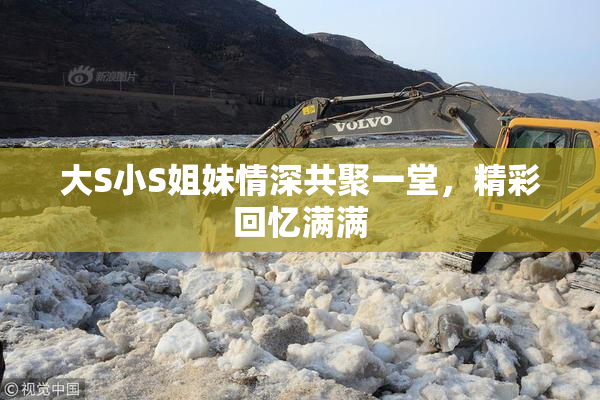 大S小S姐妹情深共聚一堂，精彩回忆满满