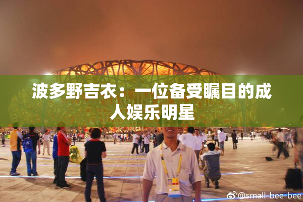 波多野吉衣：一位备受瞩目的成人娱乐明星