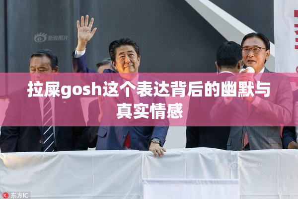 拉屎gosh这个表达背后的幽默与真实情感