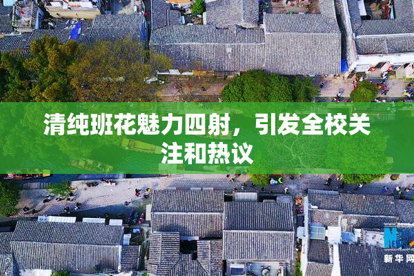 清纯班花魅力四射，引发全校关注和热议