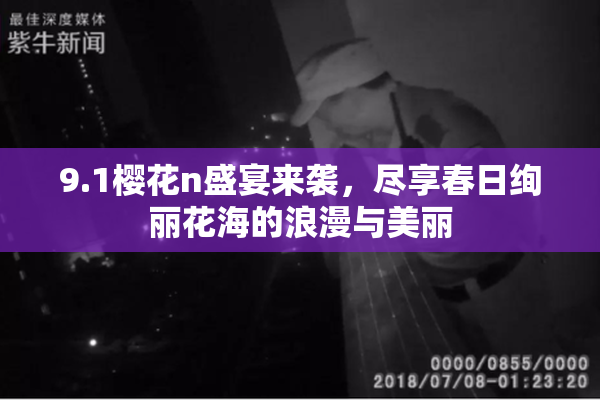 9.1樱花n盛宴来袭，尽享春日绚丽花海的浪漫与美丽