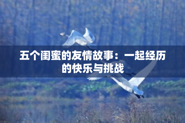 五个闺蜜的友情故事：一起经历的快乐与挑战