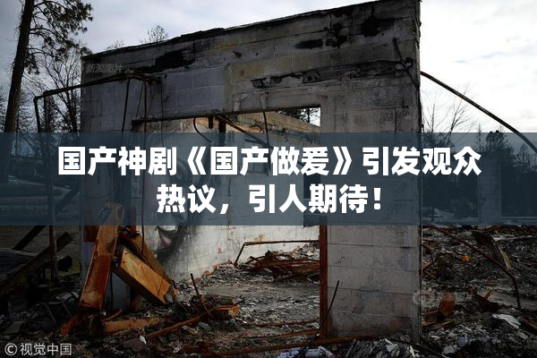 国产神剧《国产做爰》引发观众热议，引人期待！