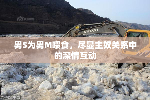 男S为男M喂食，尽显主奴关系中的深情互动