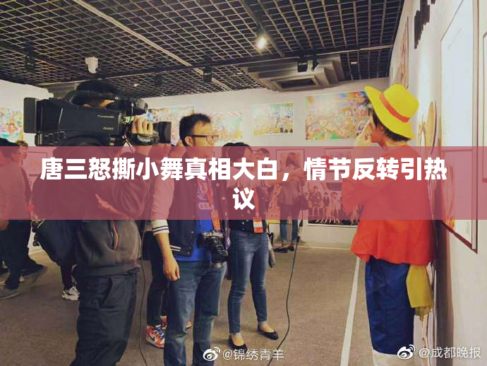 唐三怒撕小舞真相大白，情节反转引热议