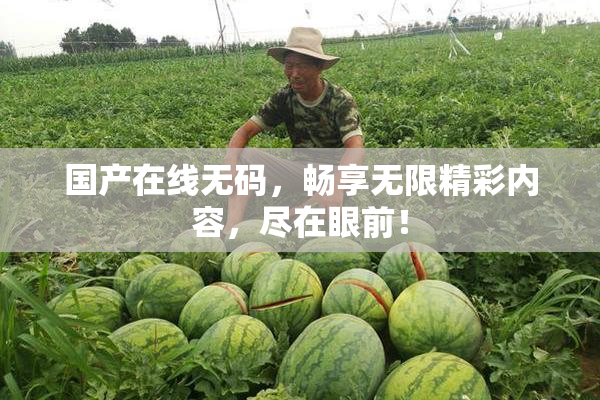 国产在线无码，畅享无限精彩内容，尽在眼前！