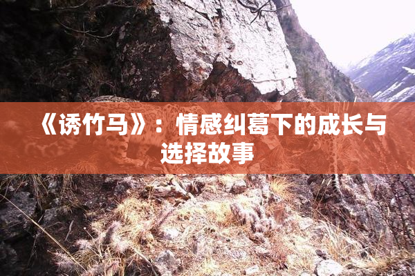 《诱竹马》：情感纠葛下的成长与选择故事