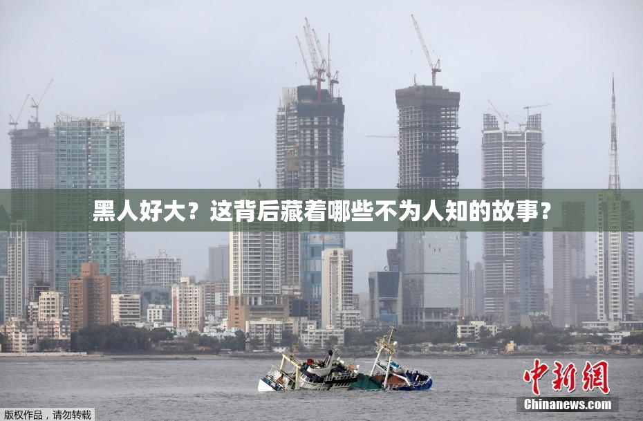 黑人好大？这背后藏着哪些不为人知的故事？