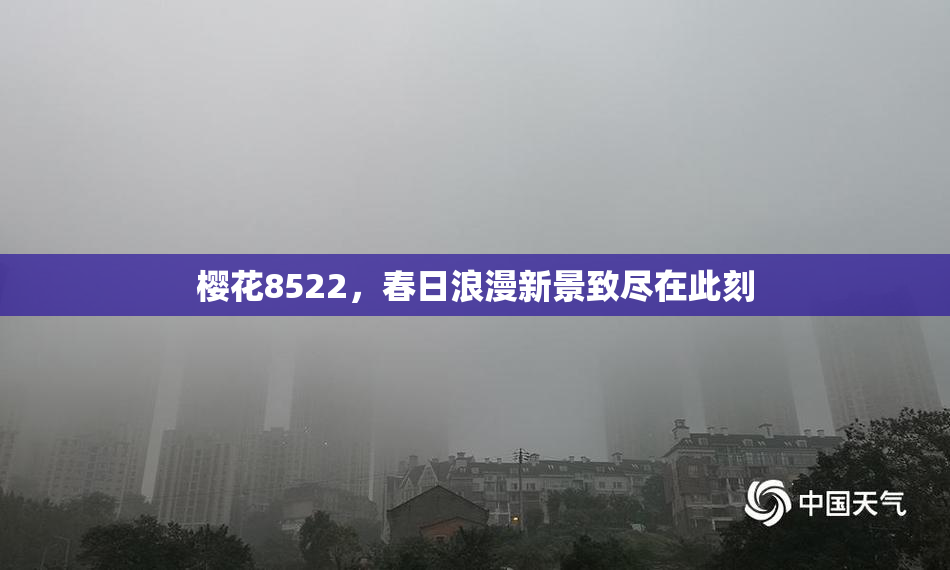 樱花8522，春日浪漫新景致尽在此刻