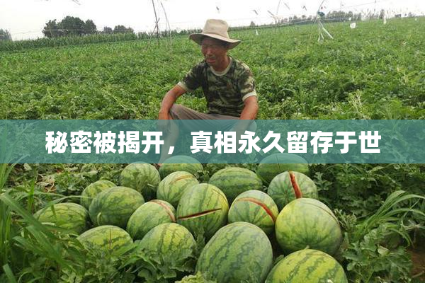 秘密被揭开，真相永久留存于世