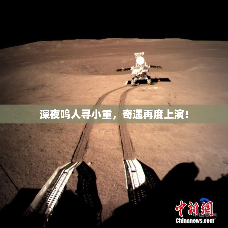 深夜鸣人寻小重，奇遇再度上演！