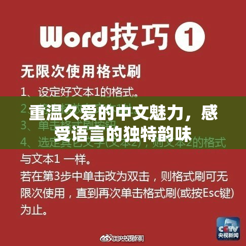 重温久爱的中文魅力，感受语言的独特韵味