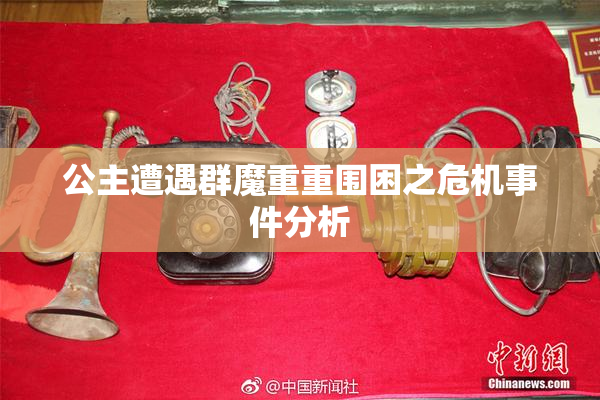 公主遭遇群魔重重围困之危机事件分析