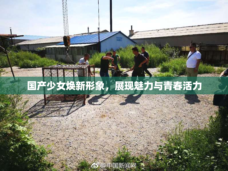 国产少女焕新形象，展现魅力与青春活力