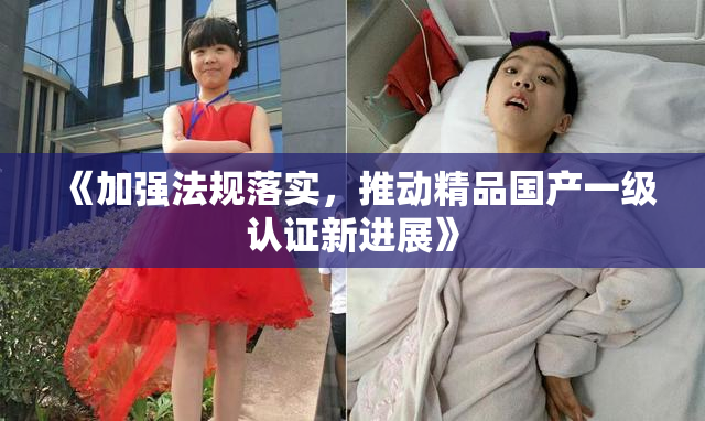 《加强法规落实，推动精品国产一级认证新进展》