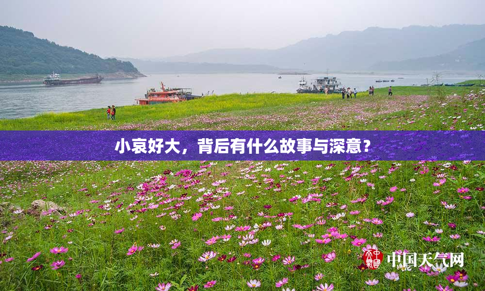 小哀好大，背后有什么故事与深意？
