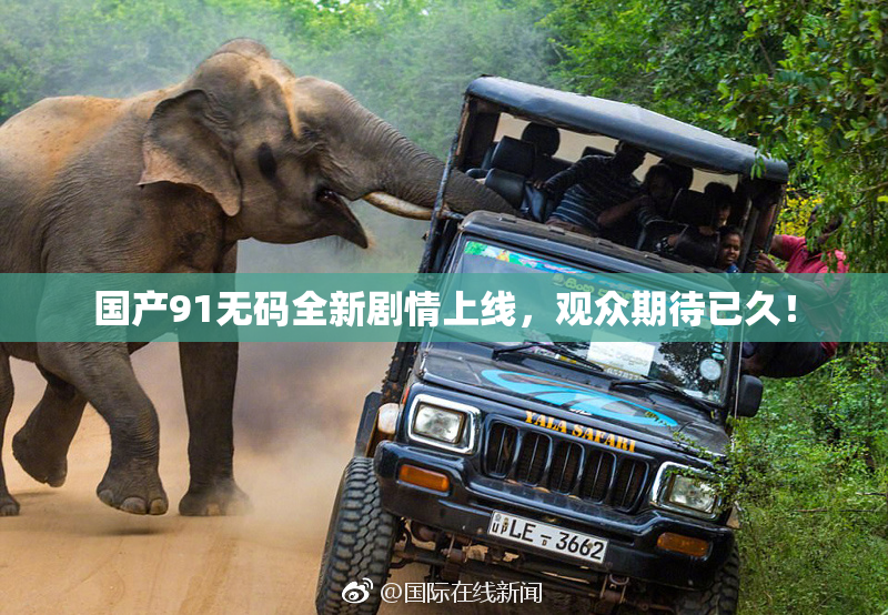 国产91无码全新剧情上线，观众期待已久！