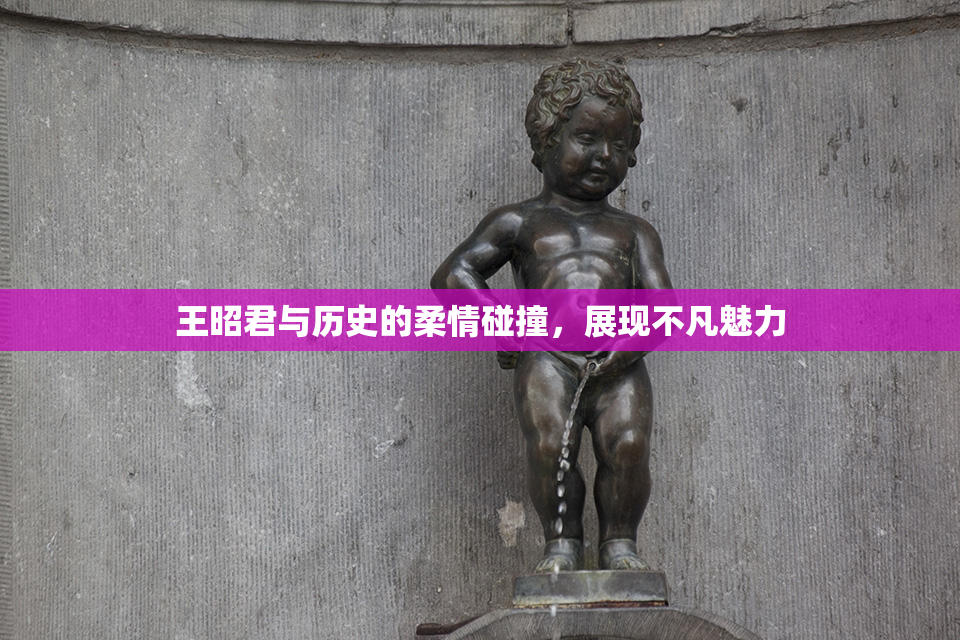 王昭君与历史的柔情碰撞，展现不凡魅力