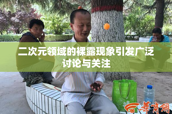 二次元领域的裸露现象引发广泛讨论与关注
